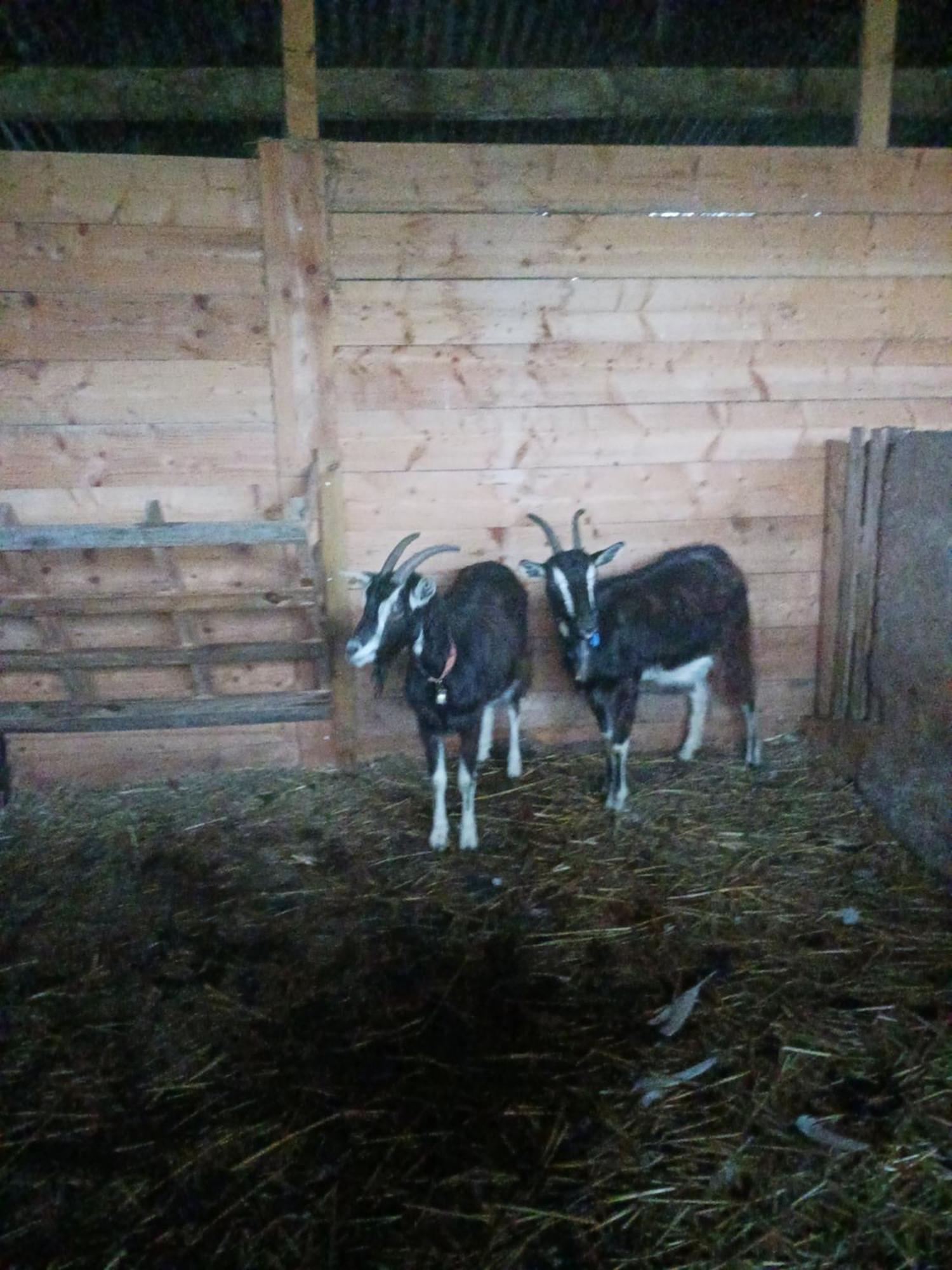 Apartamento La Ferme Stanczak Tréguier Exterior foto